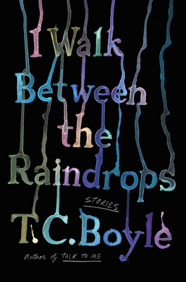 Cover image of I Walk Between the Raindrops
